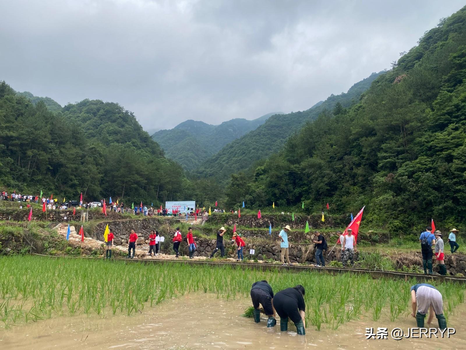 广东稻里科技有限公司，引领科技创新的先锋力量