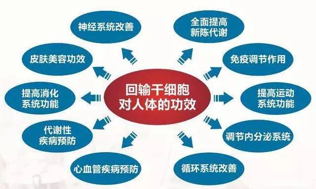 广东省干细胞库电话——探索生命之源的桥梁