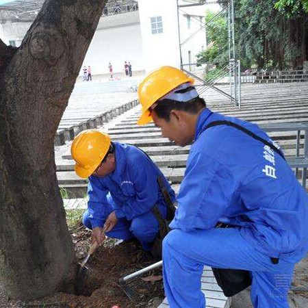 广东省白蚁防治研究所，守护建筑安全的先锋力量