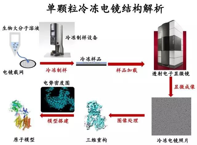 广东省硝酸浓度计，技术前沿与应用展望