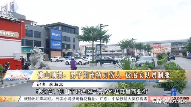 广东省爆公司，揭秘一家引领潮流的科技创新巨头