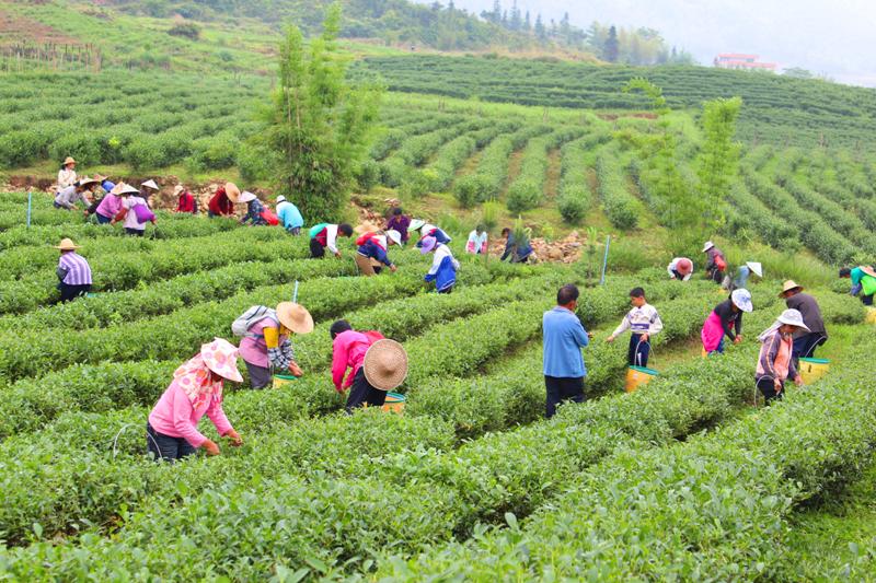 广东省三区，经济繁荣与文化魅力的交汇点