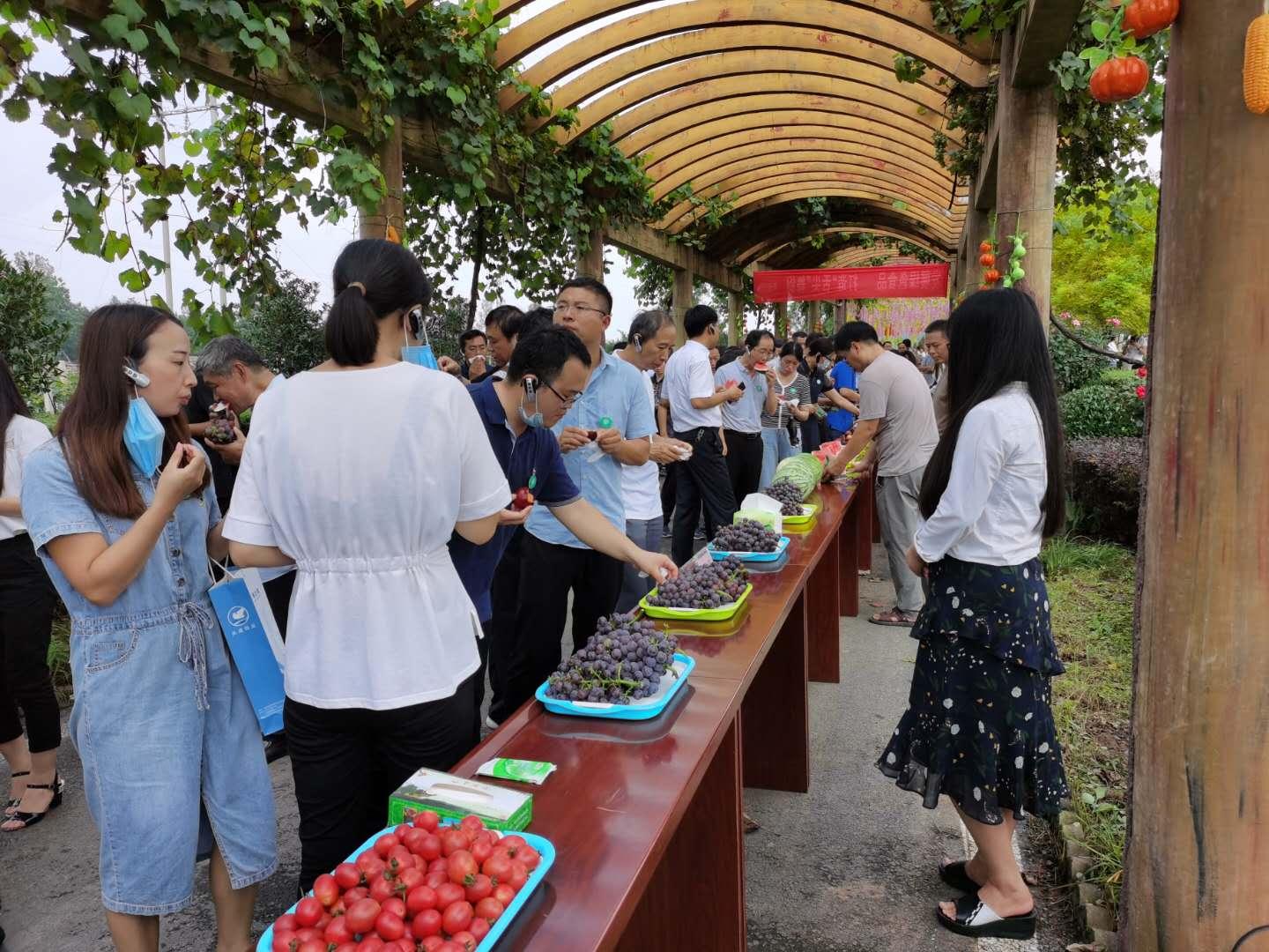 广东誉森食品有限公司，品质卓越，引领食品行业新风尚