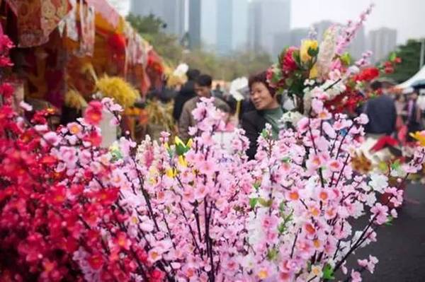 广东省常见花卉，繁花似锦的自然画卷