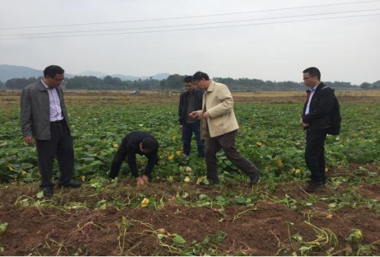 广东省精神科医院排名及其服务质量综述