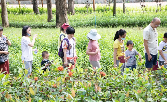 广东省科学绿化，探索与实践