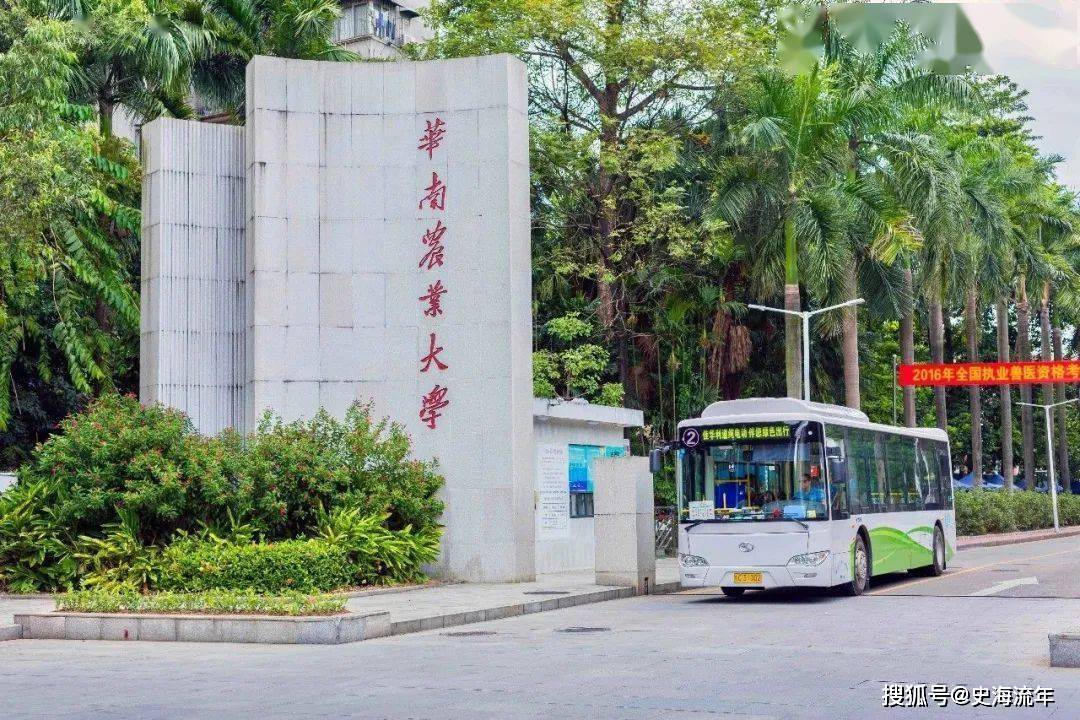 广东省所有大学学校，繁荣的教育事业与多元的发展特色