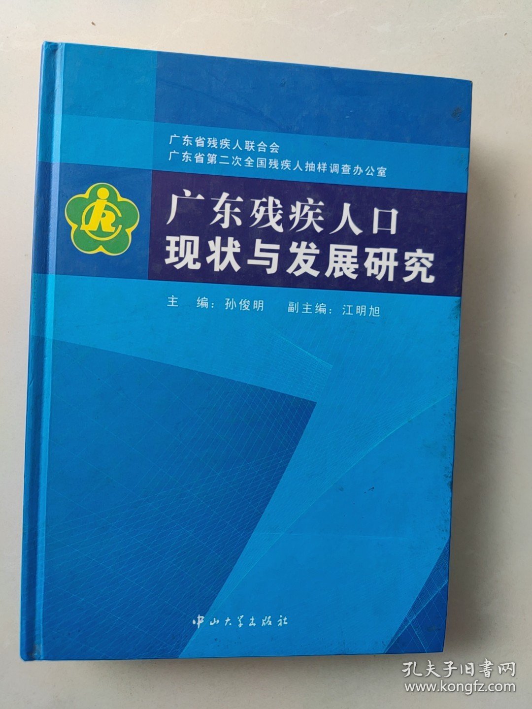 广东省农村劳动力的现状与发展研究